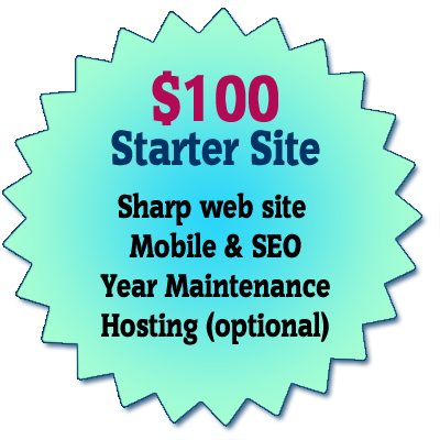 Web site starter special